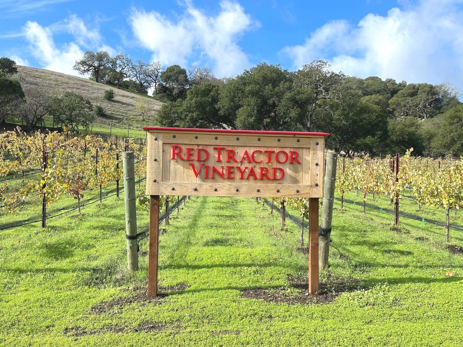 Red Tractor Vineyard, Napa, California